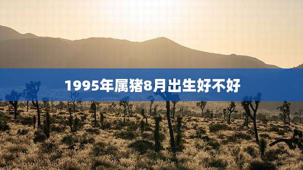 1995年属猪8月出生好不好