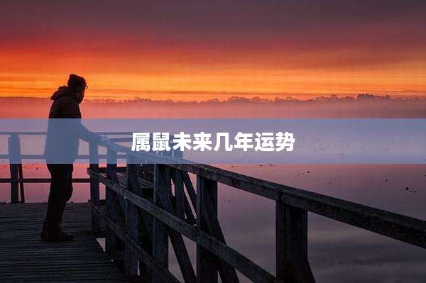 属鼠未来几年运势