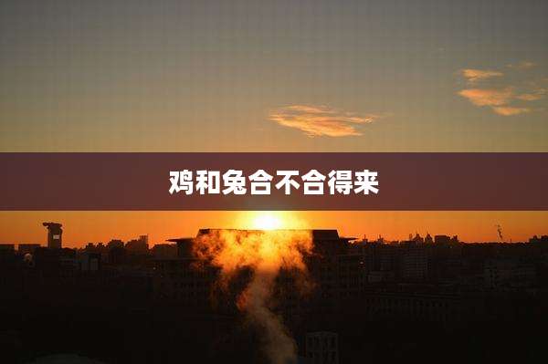 鸡和兔合不合得来