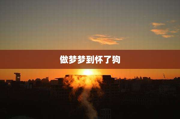 做梦梦到怀了狗