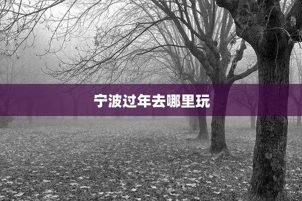 宁波过年去哪里玩