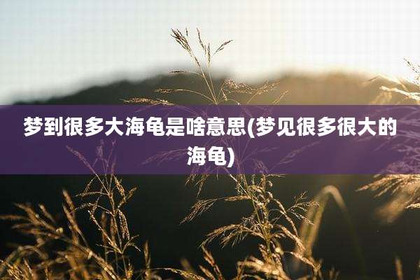 梦到很多大海龟是啥意思(梦见很多很大的海龟)