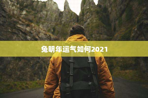 兔明年运气如何2021
