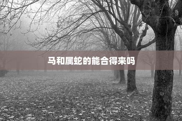 马和属蛇的能合得来吗