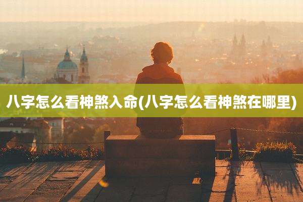 八字怎么看神煞入命(八字怎么看神煞在哪里)