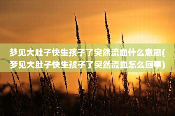 梦见大肚子快生孩子了突然流血什么意思(梦见大肚子快生孩子了突然流血怎么回事)