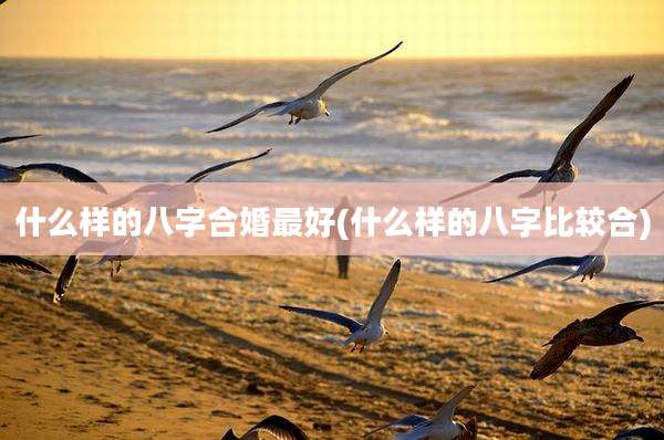 什么样的八字合婚最好(什么样的八字比较合)