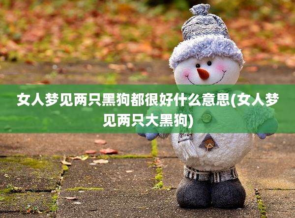 女人梦见两只黑狗都很好什么意思(女人梦见两只大黑狗)