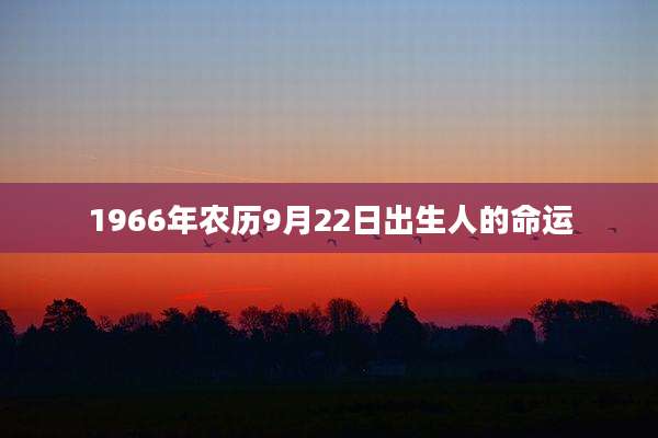 1966年农历9月22日出生人的命运
