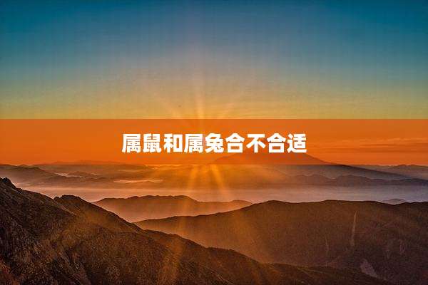 属鼠和属兔合不合适