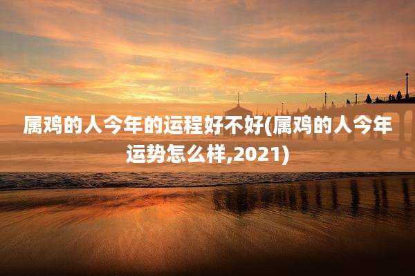 属鸡的人今年的运程好不好(属鸡的人今年运势怎么样,2021)