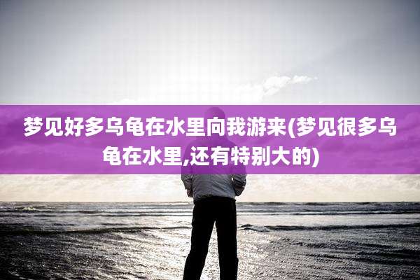 梦见好多乌龟在水里向我游来(梦见很多乌龟在水里,还有特别大的)