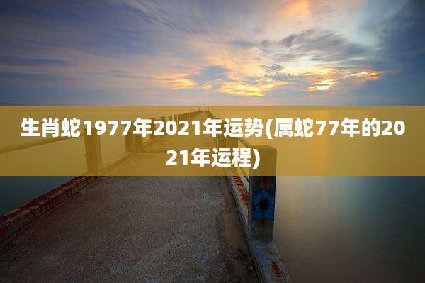 生肖蛇1977年2021年运势(属蛇77年的2021年运程)