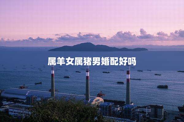 属羊女属猪男婚配好吗