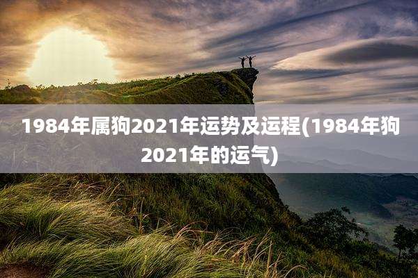 1984年属狗2021年运势及运程(1984年狗2021年的运气)