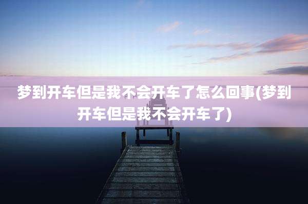 梦到开车但是我不会开车了怎么回事(梦到开车但是我不会开车了)
