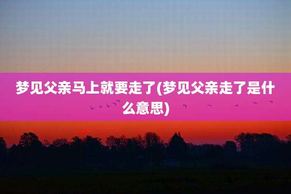 梦见父亲马上就要走了(梦见父亲走了是什么意思)
