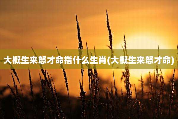 大概生来怒才命指什么生肖(大概生来怒才命)