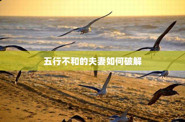 五行不和的夫妻如何破解