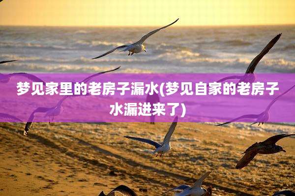梦见家里的老房子漏水(梦见自家的老房子水漏进来了)