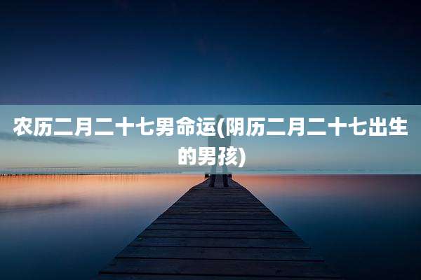 农历二月二十七男命运(阴历二月二十七出生的男孩)