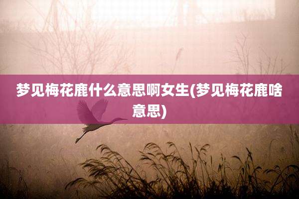 梦见梅花鹿什么意思啊女生(梦见梅花鹿啥意思)