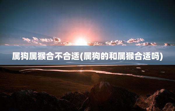 属狗属猴合不合适(属狗的和属猴合适吗)