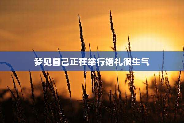 梦见自己正在举行婚礼很生气