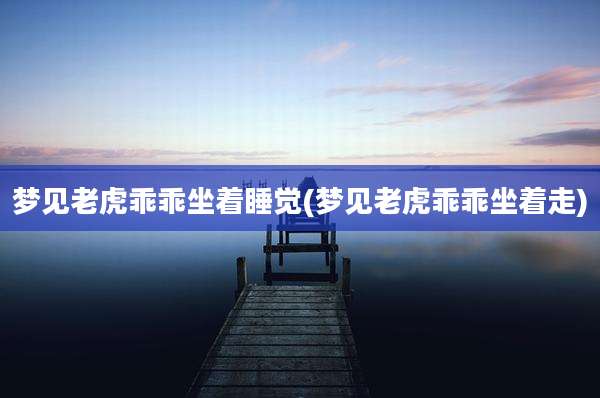 梦见老虎乖乖坐着睡觉(梦见老虎乖乖坐着走)