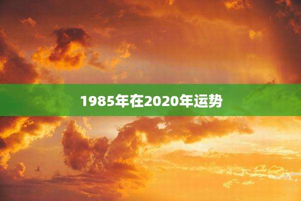 1985年在2020年运势