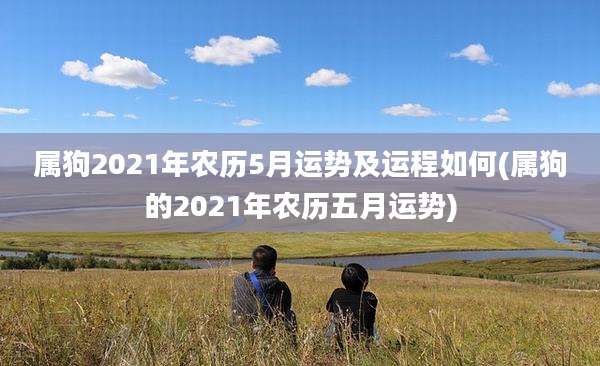 属狗2021年农历5月运势及运程如何(属狗的2021年农历五月运势)