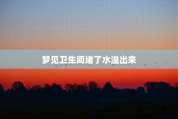 梦见卫生间堵了水溢出来