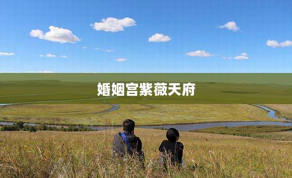婚姻宫紫薇天府