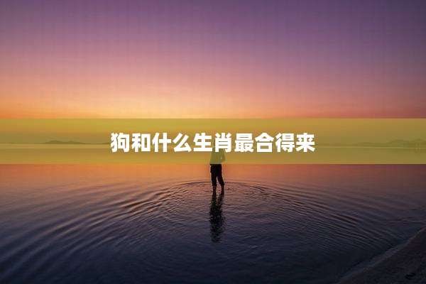 狗和什么生肖最合得来