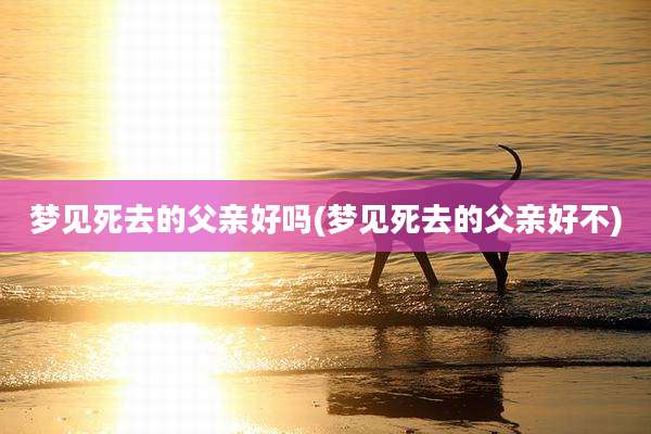 梦见死去的父亲好吗(梦见死去的父亲好不)