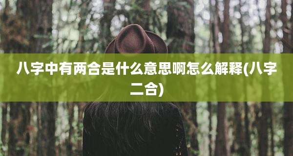 八字中有两合是什么意思啊怎么解释(八字二合)