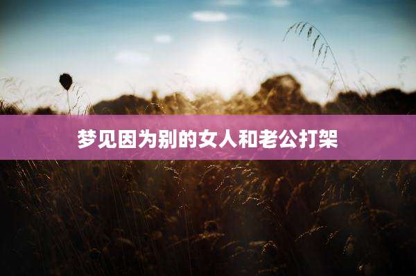 梦见因为别的女人和老公打架