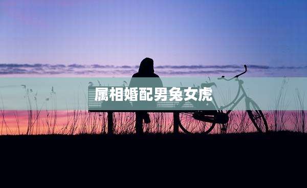 属相婚配男兔女虎