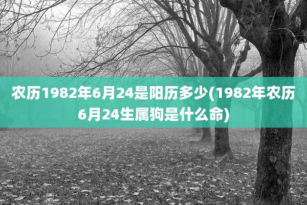 农历1982年6月24是阳历多少(1982年农历6月24生属狗是什么命)