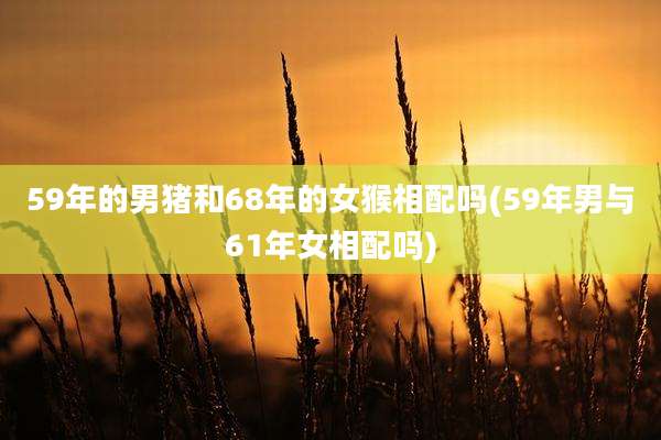 59年的男猪和68年的女猴相配吗(59年男与61年女相配吗)