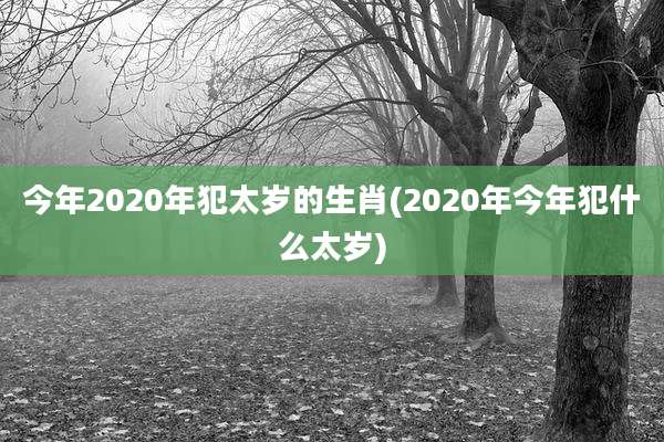 今年2020年犯太岁的生肖(2020年今年犯什么太岁)