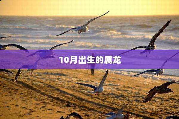 10月出生的属龙