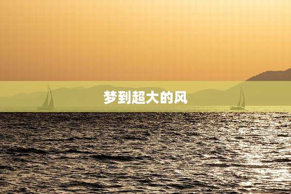 梦到超大的风
