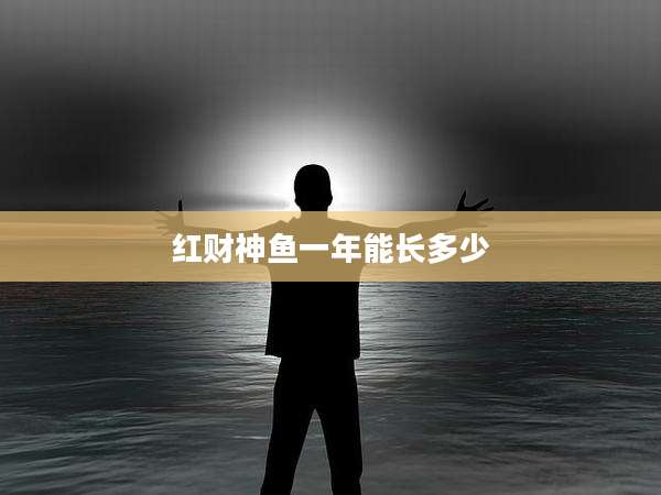 红财神鱼一年能长多少
