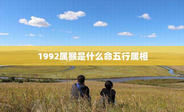 1992属猴是什么命五行属相