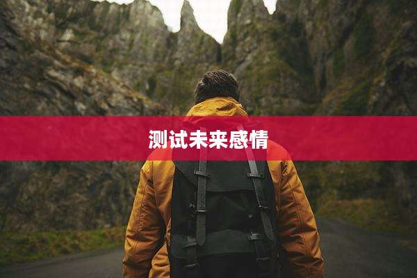 测试未来感情