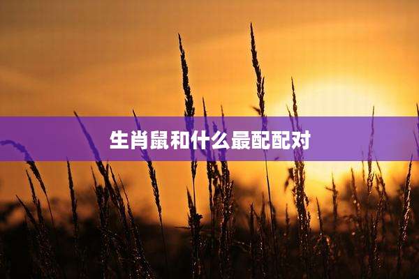 生肖鼠和什么最配配对