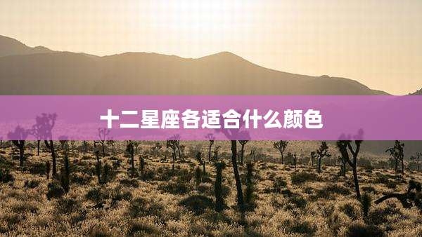 十二星座各适合什么颜色