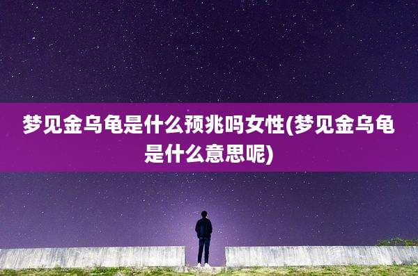 梦见金乌龟是什么预兆吗女性(梦见金乌龟是什么意思呢)