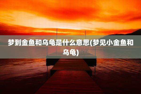 梦到金鱼和乌龟是什么意思(梦见小金鱼和乌龟)